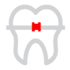 ortodonta-szczecin